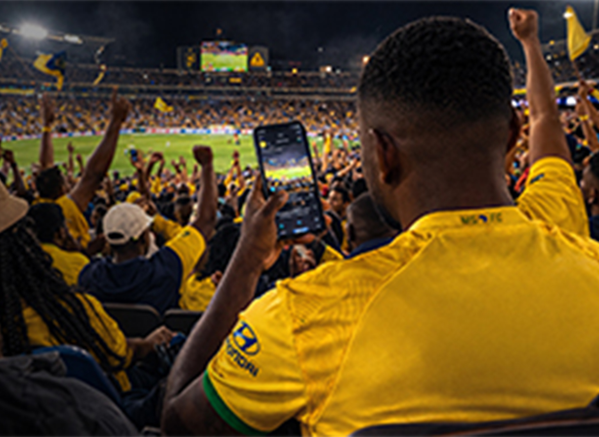 Sundowns - Sports & Entertainment